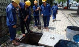 THÔNG CỐNG NGHẸT